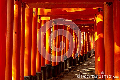 Senbon torii path in Fushimi Inari-taisha, kyoto, japan Stock Photo